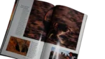 Meerkats Stand Tall – National Geographic Magazine / 2002 - Image 8