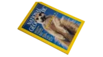 Meerkats Stand Tall – National Geographic Magazine / 2002 - Image 11