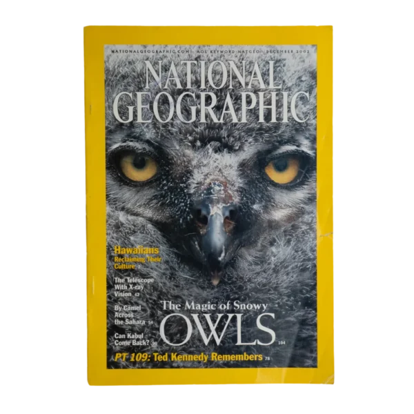 The Magic Of Snowy Owls – National Geographic Magazine / 2002