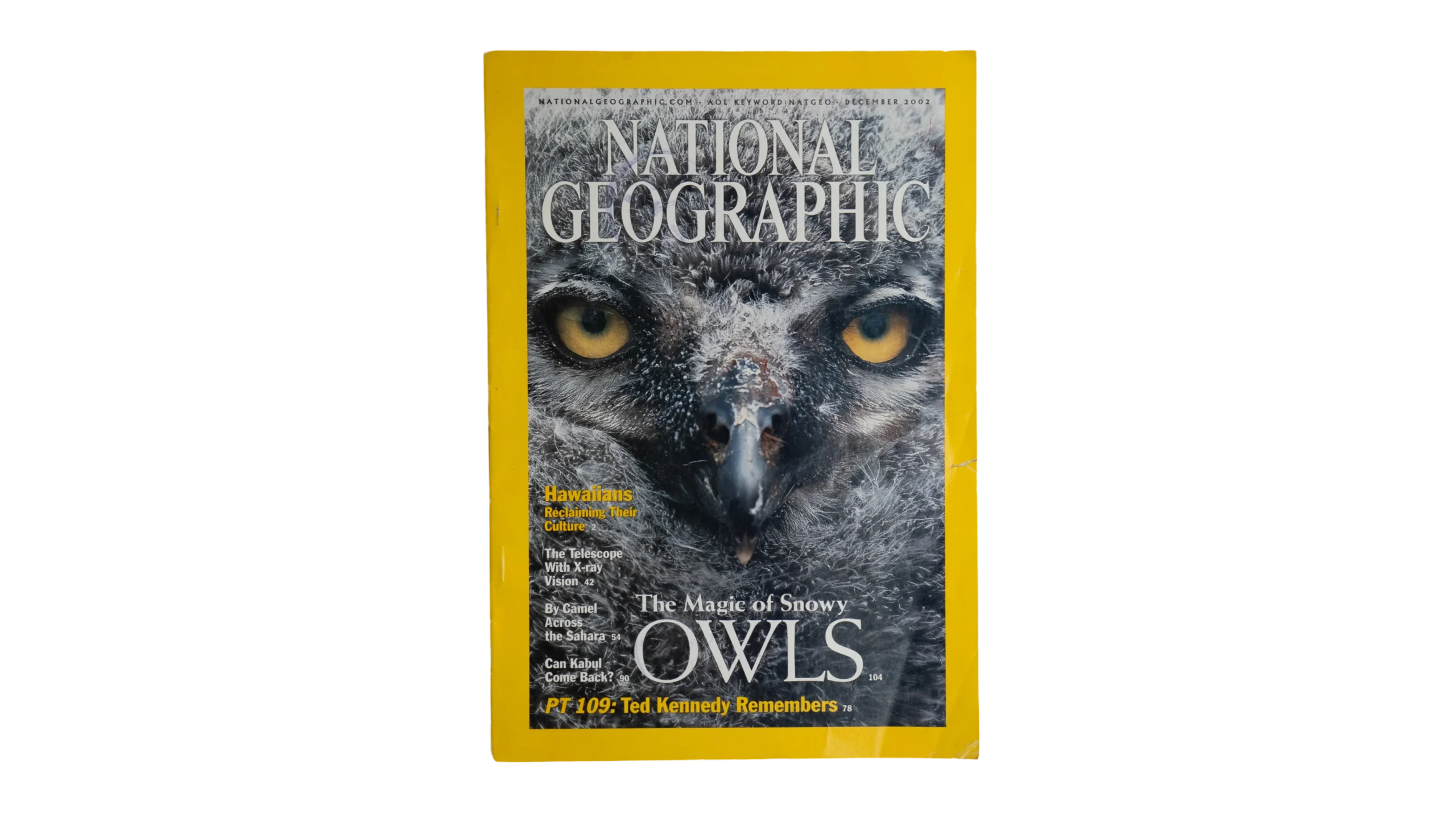 DSC08332 The Magic Of Snowy Owls – National Geographic Magazine / 2002 - Image 1