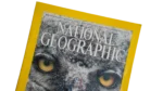 The Magic Of Snowy Owls – National Geographic Magazine / 2002 - Image 2