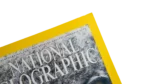 The Magic Of Snowy Owls – National Geographic Magazine / 2002 - Image 4