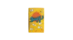 Rabso Egyptian Detergent