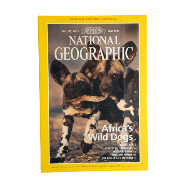 Africa's Wild Dogs – National Geographic Magazine / 1999