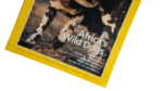 Africa's Wild Dogs – National Geographic Magazine / 1999 - Image 3