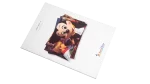 Euro Disney Annual Report 1992 - Image 13
