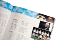 World Cup 2002 Perview Part II Magazine - Image 6
