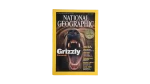Grizzly Concerned – National Geographic Magazine / 2001