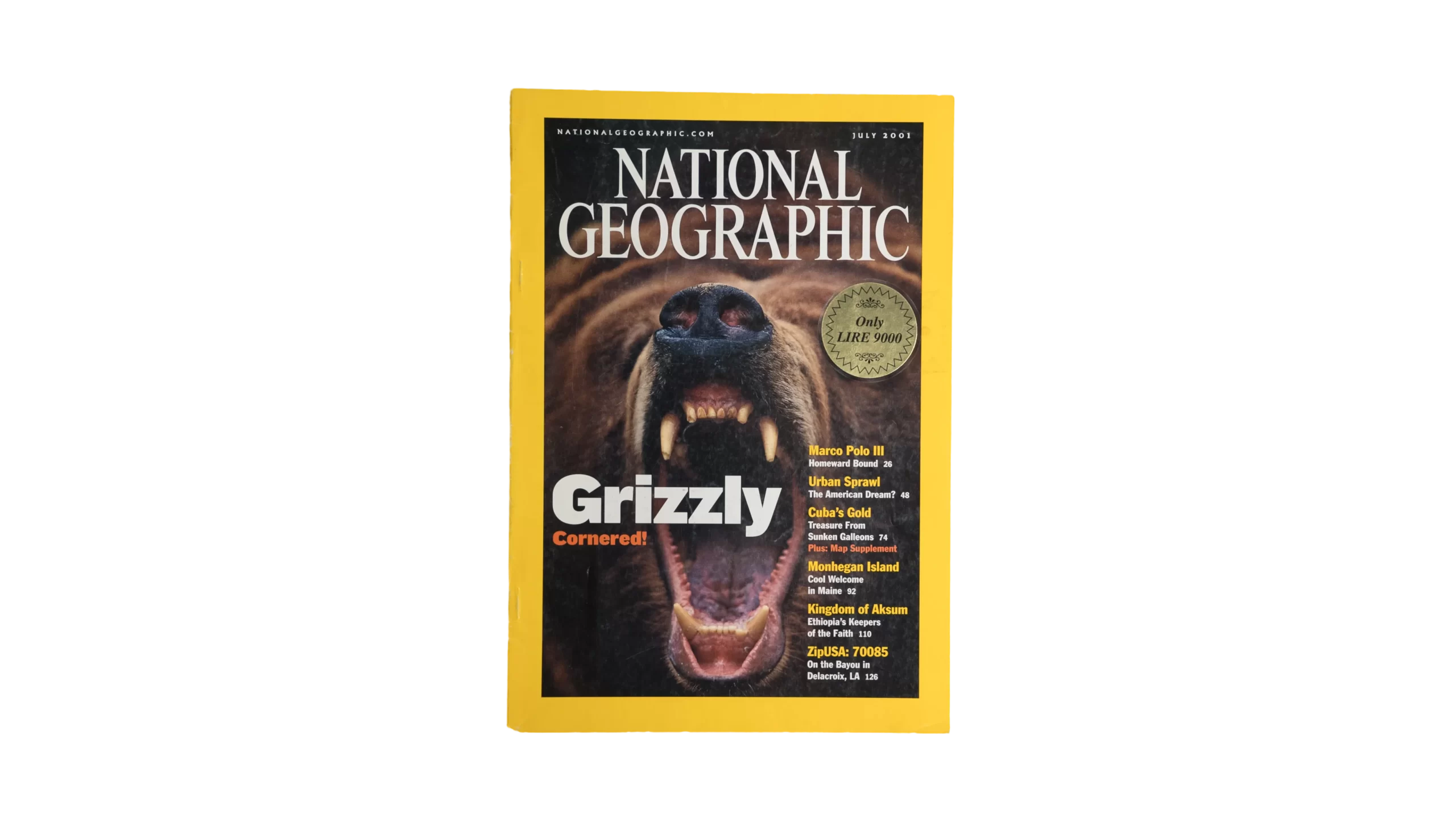 DSC09166 Grizzly Concerned – National Geographic Magazine / 2001 - Image 1