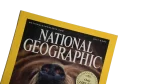 Grizzly Concerned – National Geographic Magazine / 2001 - Image 2