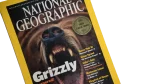 Grizzly Concerned – National Geographic Magazine / 2001 - Image 3