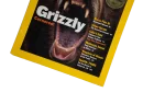 Grizzly Concerned – National Geographic Magazine / 2001 - Image 4
