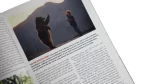 Grizzly Concerned – National Geographic Magazine / 2001 - Image 6