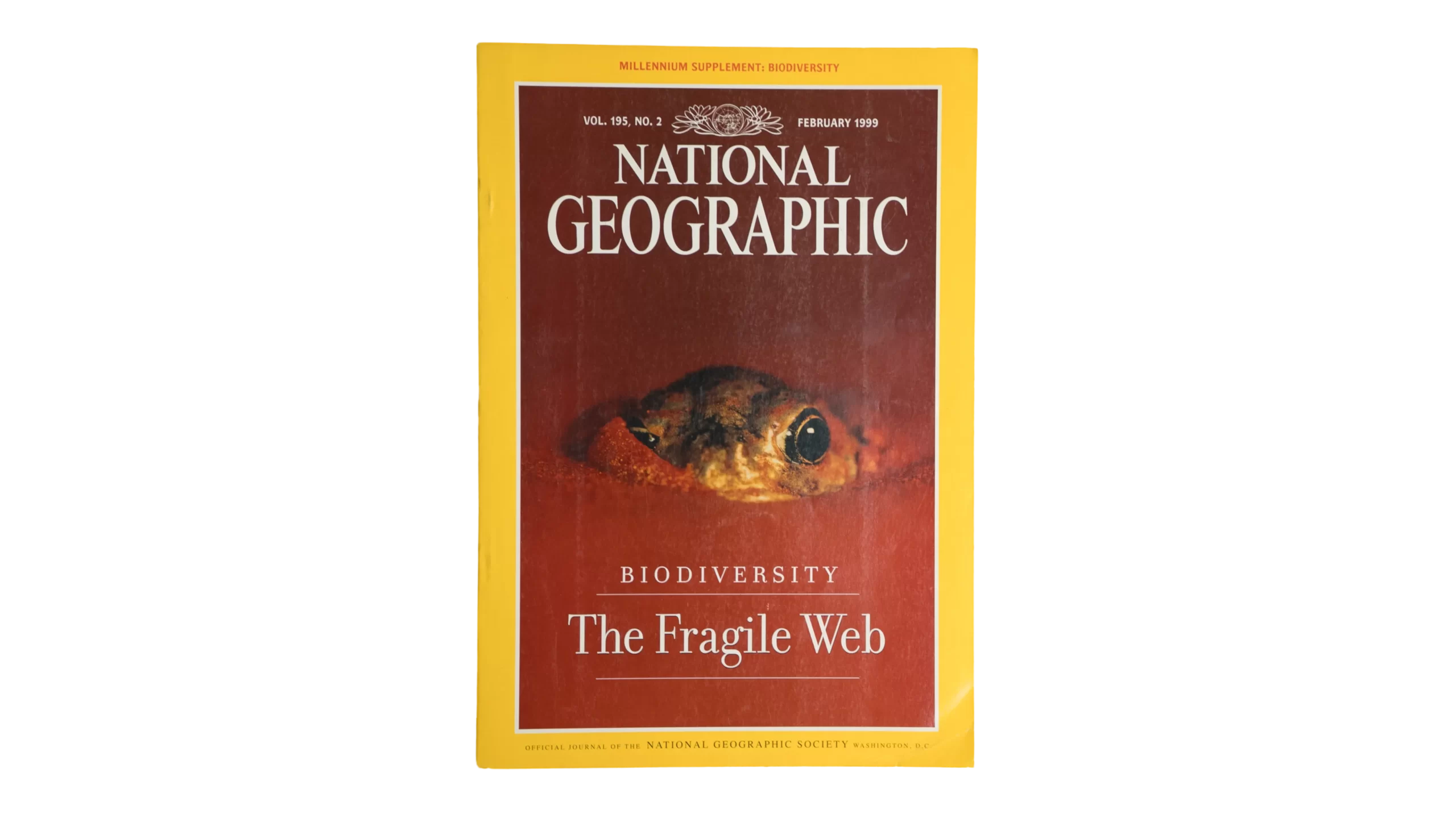 DSC09193 Biodiversity The Fragile Web – National Geographic Magazine / 1999 - Image 1