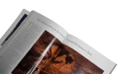 Biodiversity The Fragile Web – National Geographic Magazine / 1999 - Image 7