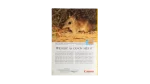 Biodiversity The Fragile Web – National Geographic Magazine / 1999 - Image 10