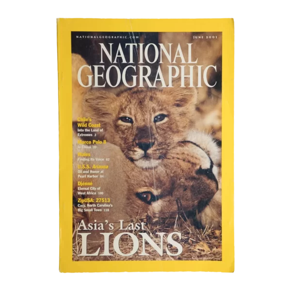 Asia's Last Lions – National Geographic Magazine / 2001
