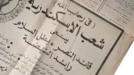 1981 Sad Feast Newspaper - Image 10