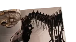 Dinosaurs – National Geographic Magazine / 1993 - Image 6