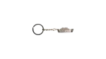 Titanic Keychain