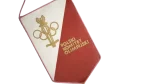 Federação Paulista de Futebol Pennant - Image 7