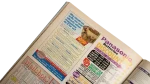 Practical Photography Magazine - Image 6