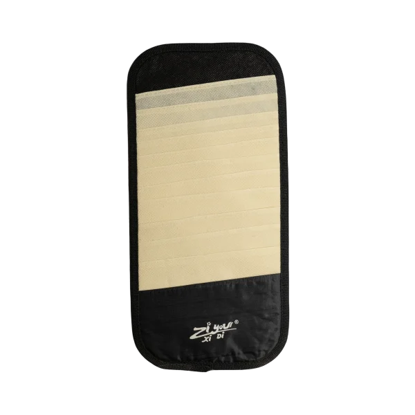 12 CD Visor Arrangement