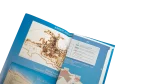 Map of Alexandria 90s - Image 5
