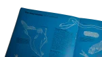 The Super Book of the Underwater World - Image 9