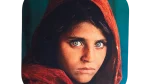 Sharbat Gula Coaster - Image 3