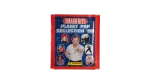 Planet Pop Collection '99 Smash Hits Panini Stickers