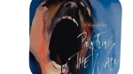 Pink Floyd Coaster - Image 4