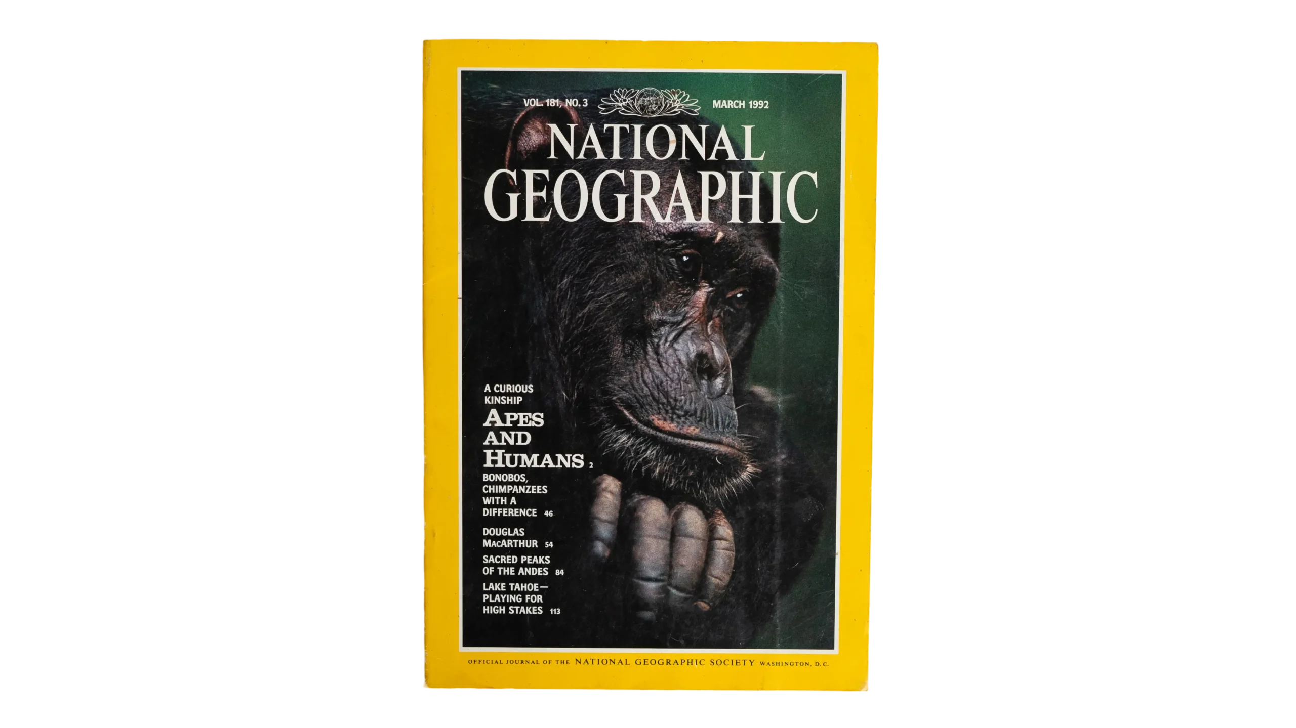 DSC08441 Apes and Humans National Geographic 1992 - Image 1