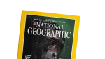 Apes and Humans National Geographic 1992 - Image 2