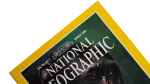 Apes and Humans National Geographic 1992 - Image 4