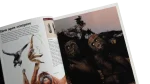 Apes and Humans National Geographic 1992 - Image 12
