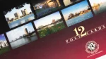 Cairo City Post Cards Booklet - Image 5
