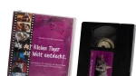Wie der kleine Tiger die Welt entdeckt - Image 2