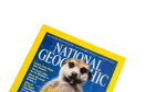 "Meerkats: Stand Tall" Nat Geo Magazine - Image 2