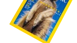 "Meerkats: Stand Tall" Nat Geo Magazine - Image 3