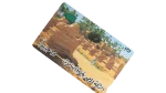 Menatel Recharge Card Karnak Temple - Image 2