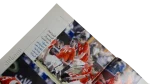 Egypt Victory Over Algeria 2009 Magazine - Image 5