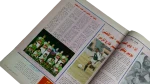 1993 Al-Ahly Is The Champion Al-Ahram Sports Magazine - Image 10