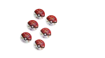 6 Pokémon Tazos - Image 7