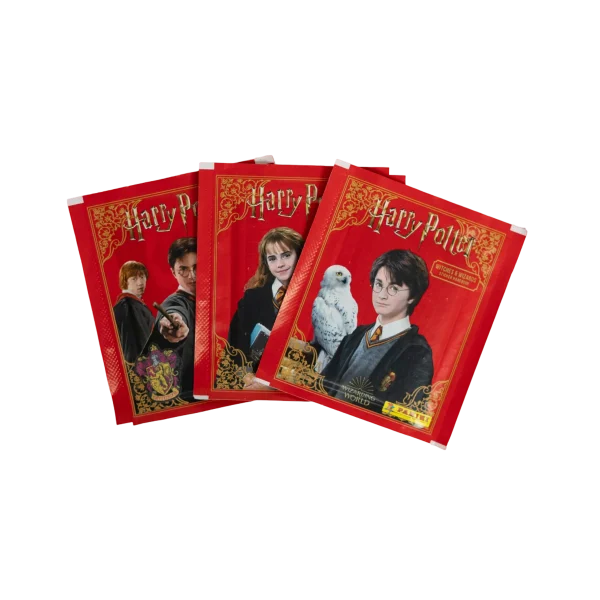 Harry Potter Witches & Wizards Panini