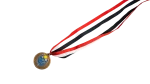 Heliopolis Sporting Club Medal - Image 4