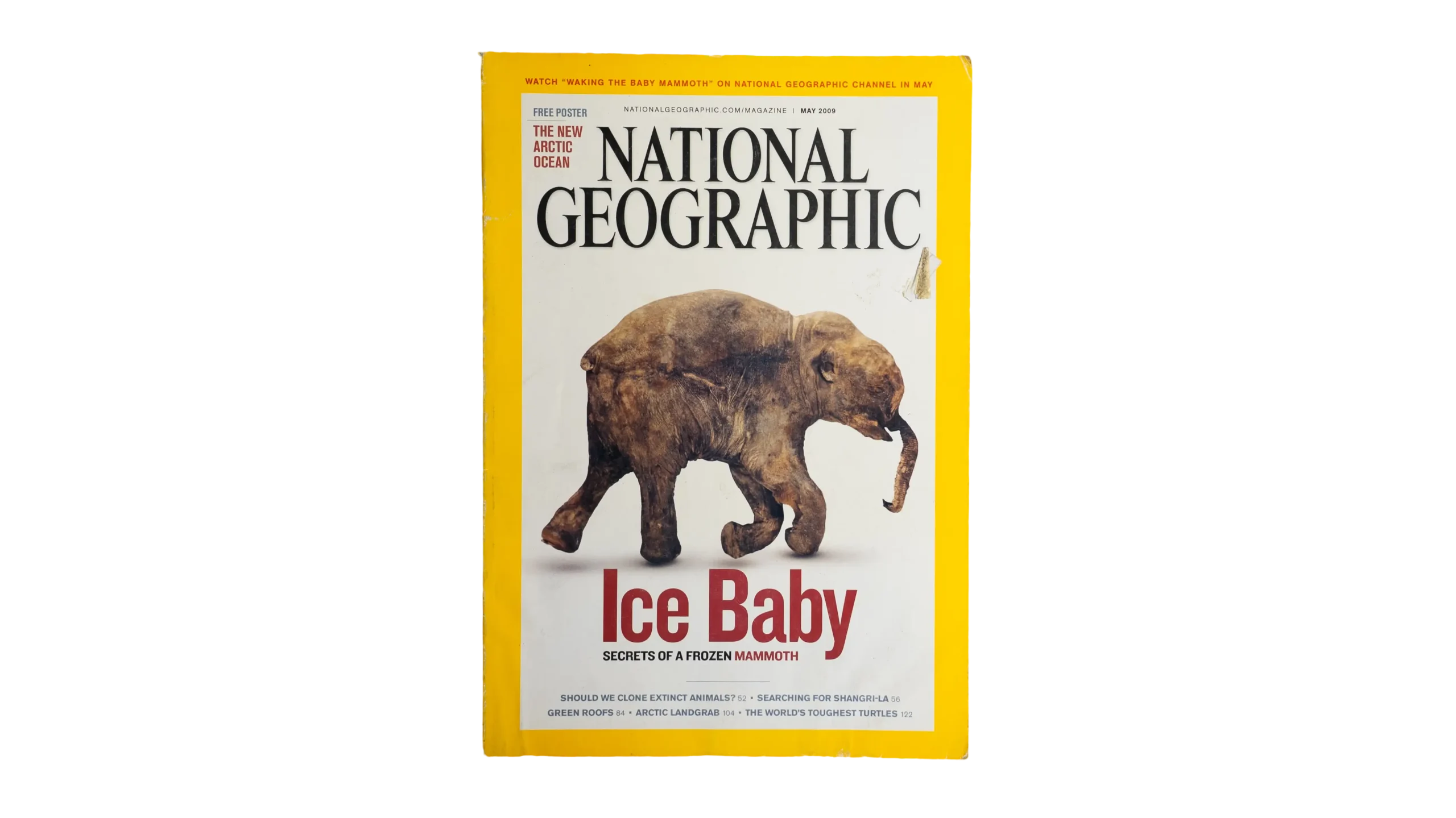 DSC07656 Ice Baby National Geographic 2009 - Image 1