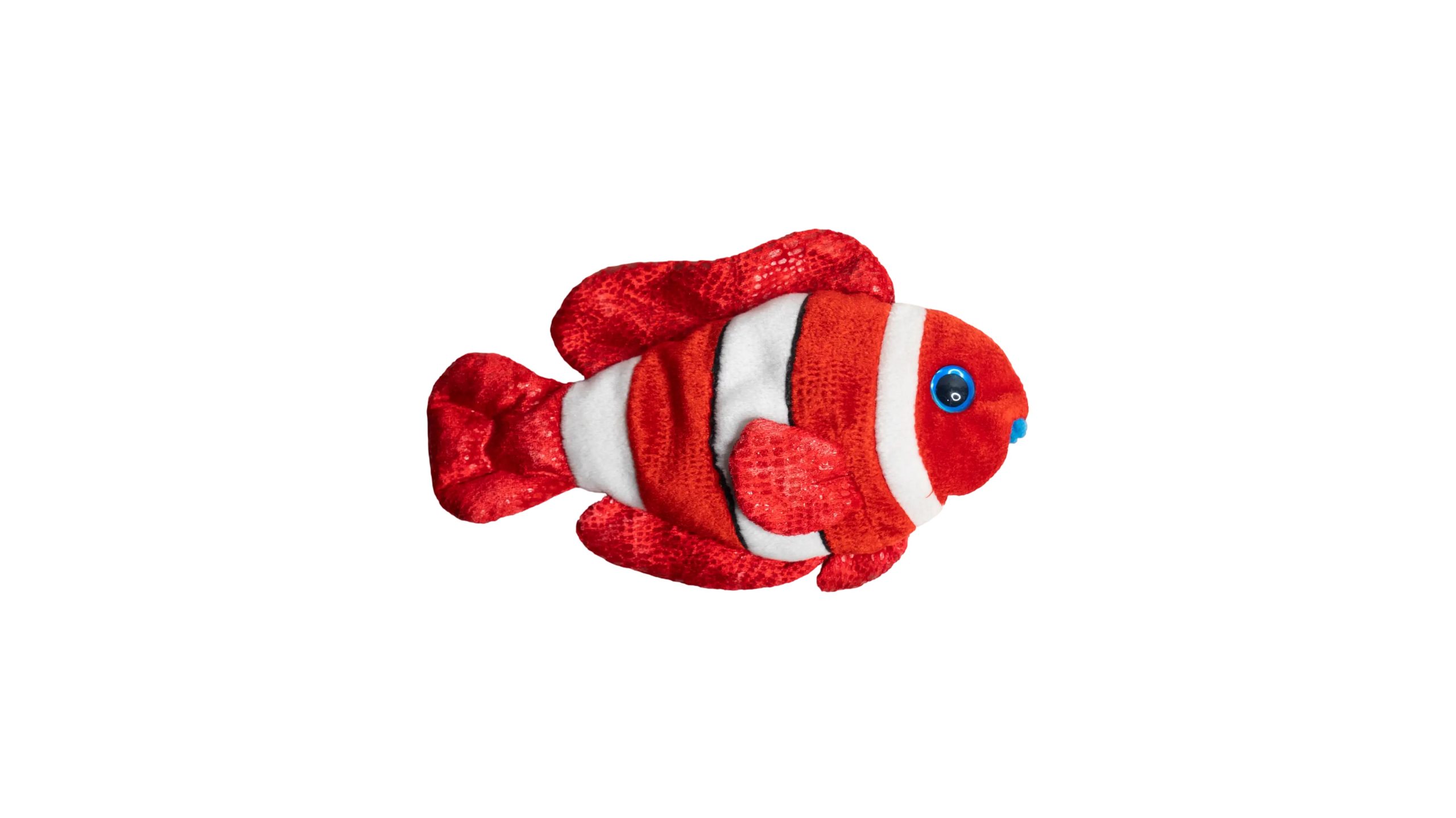DSC08717 Jester The Clownfish - Image 1