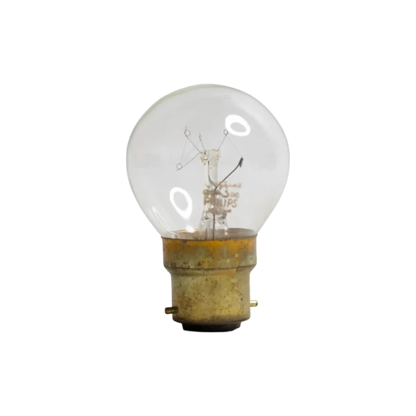 Philips Incandescent Light Bulb