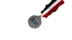 AUC Medal - Image 4